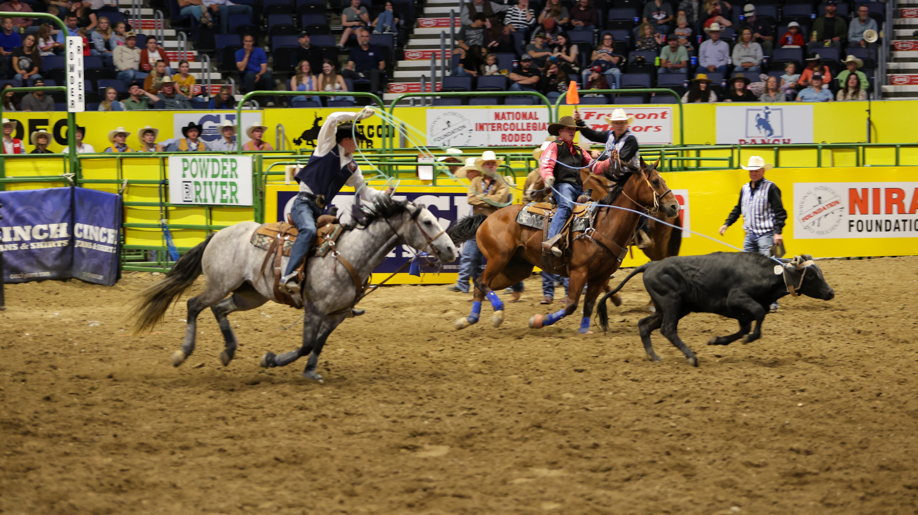 Coyotes continue CNFR streak with strong performances